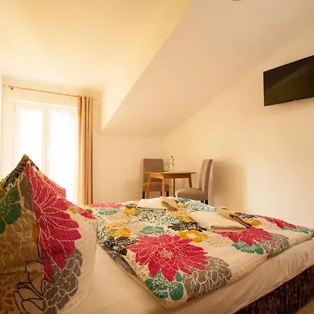 게스트하우스 Diener Nausslitz